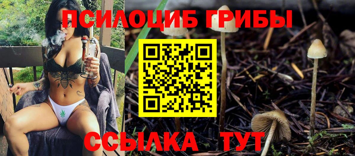 Псилоцибиновые грибы MAGIC MUSHROOMS  Псилоцибиновые грибы Magic Shrooms  Вход с VPN  Советск 